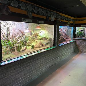 Timothy Willson Reptile House 150220