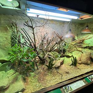 Reptile House exhibit 150220