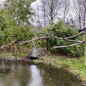 Binturong and Asian small-clawed otter enclosure 150220