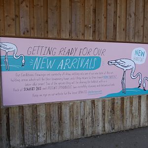 Signage of Flamingo house