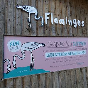 Signage on Flamingo house (2)