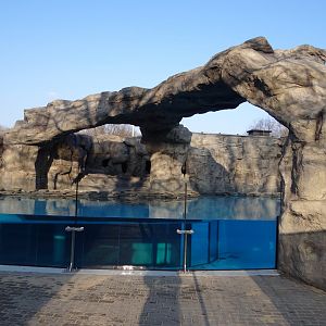 New Penguin enclosure