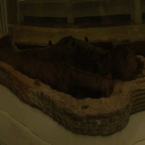 Egypt: Mummy of Antjau