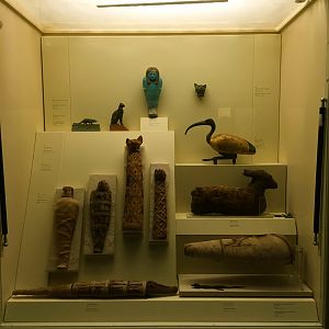 Egypt: Animal Mummies