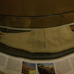 Egypt: Mummy of Nakht