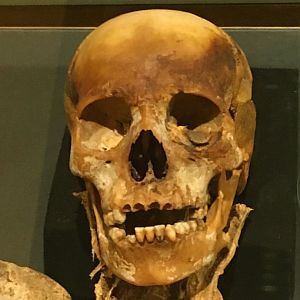 Egypt: Head of Nakht