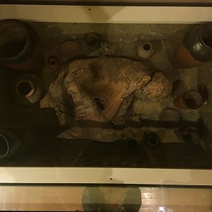 Egypt: Natural Mummy