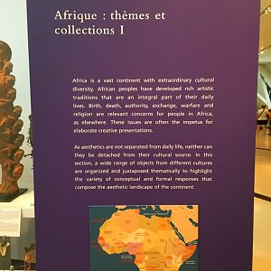 Africa: Themes & Collections Sign