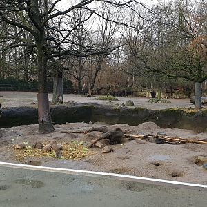 Prairi-dog ( front ) and American bison enclosures
