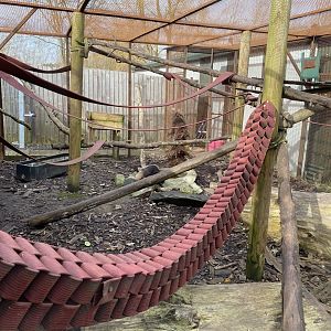 Part of Tayra exhibit 070320