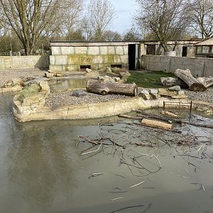 American beaver exhibit 070320