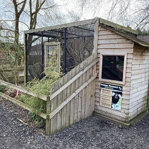 Common marmoset exhibit 070320