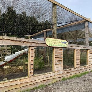 Blue-and-yellow macaw aviary 070320
