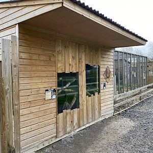 Australian reptile exhibits 070320