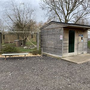 Squirrel monkey enclosure 070320