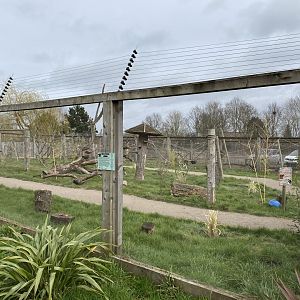 Lemur walkthrough 070320