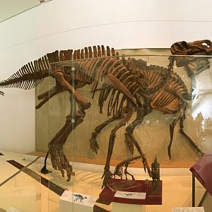 Edmontosaurus