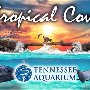 Zoo Tours | The Tropical Cove