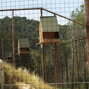 Cim d'Àligues - Aviaries