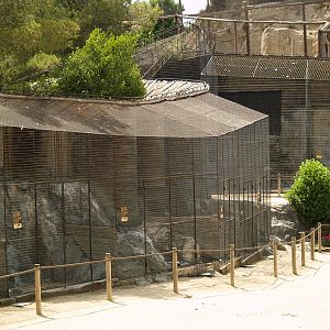 Cim d'Àligues - Aviaries