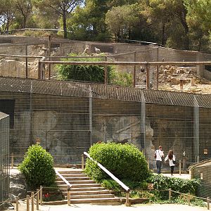 Cim d'Àligues - Aviaries