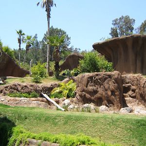 Disappointing Gorilla Exhibit