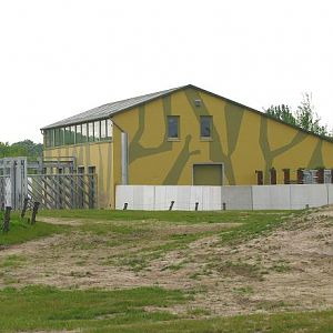 Dierenrijk - Asian Elephant Enclosure