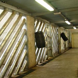 Dierenrijk - Asian Elephant Enclosure