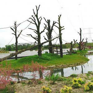 Dierenrijk - Gibbon Island