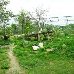 Dierenrijk - Siberian Tiger Enclosure