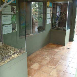 Inside Rattlesnake Canyon