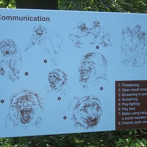 Communication sign