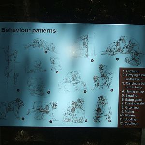 Behaviour sign