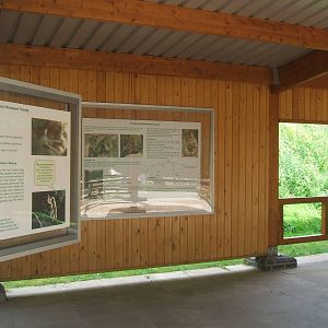 inside the info hut