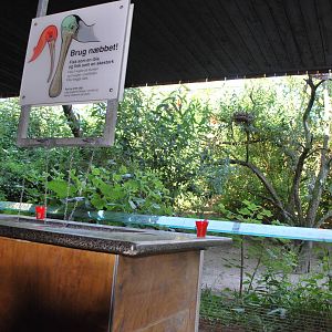 Scarlet ibis exhibit, Copenhagen Zoo June 2009, (pic 6 of 7)