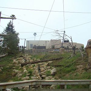 California Condor exhibit