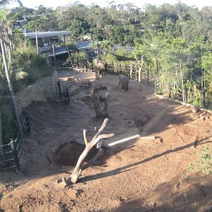 Lower part of the ASian Elephant enclosure