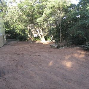 Horse-shoe Aviary renovations