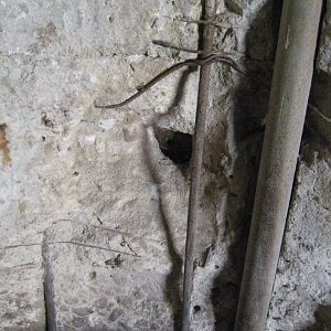 Damage to concrete in Elephant Temple