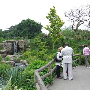 Bears of the Cloud Forest photos
