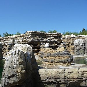 Humboldt Penguin Exhibit