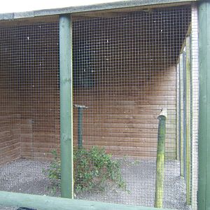 View of empty aviary