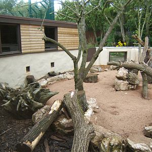 View of outdoor of the Meerkat exhibit