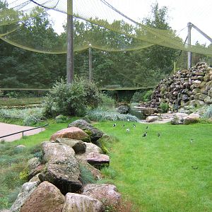 Wader Aviary