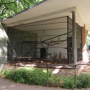 Chimpanzee enclosure