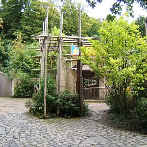 View of Leopard enclosure