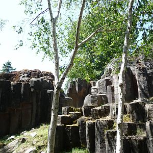 Rocky Mountain Goat Exhibit