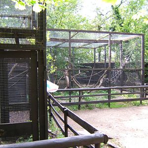 Lemur enclosures