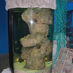 Marine Tank