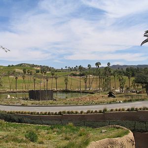 SDWAP - Nyala and East Africa